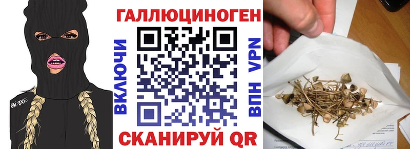 Псилоцибиновые грибы Magic Shrooms  купить  цена  Кыштым 